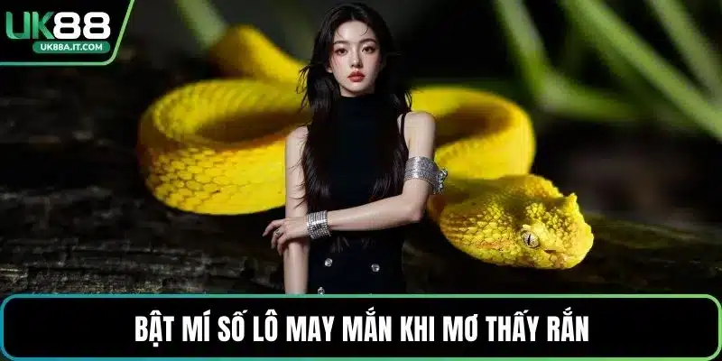 Nằm Mơ Thấy Rắn Là Điềm Gì? Giải Mã Con Số May Mắn