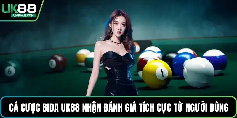 Cá Cược Bida VN88 Có Gì Hot? Luật Chơi Dành Cho Người Mới