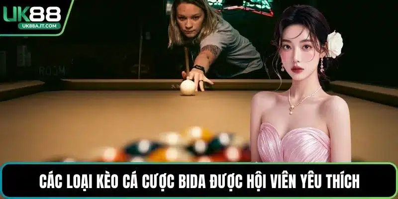 Cá Cược Bida VN88 Có Gì Hot? Luật Chơi Dành Cho Người Mới