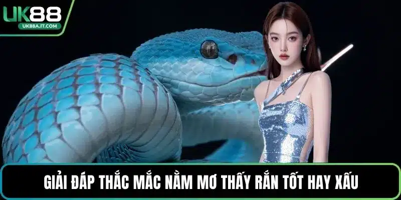 Nằm Mơ Thấy Rắn Là Điềm Gì? Giải Mã Con Số May Mắn