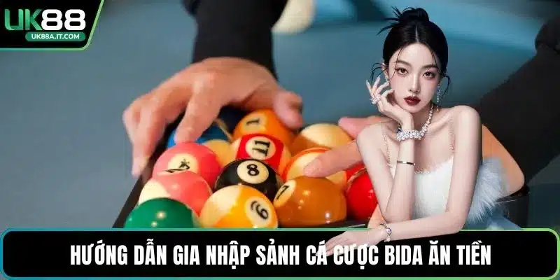 Cá Cược Bida VN88 Có Gì Hot? Luật Chơi Dành Cho Người Mới