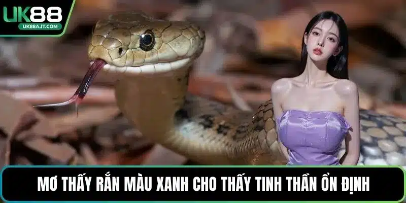 Nằm Mơ Thấy Rắn Là Điềm Gì? Giải Mã Con Số May Mắn