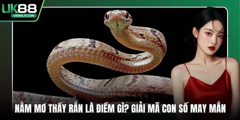 Bắn Cá H5 - Mẹo Bất Bại Mỗi Cuộc Săn Cá Sinh Động