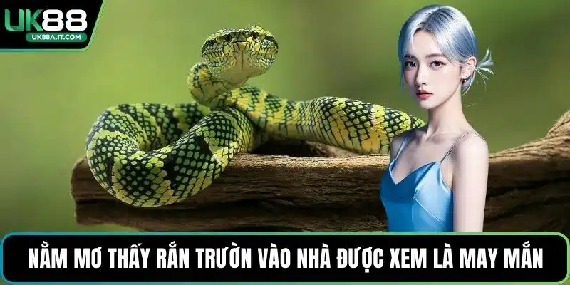 Nằm Mơ Thấy Rắn Là Điềm Gì? Giải Mã Con Số May Mắn