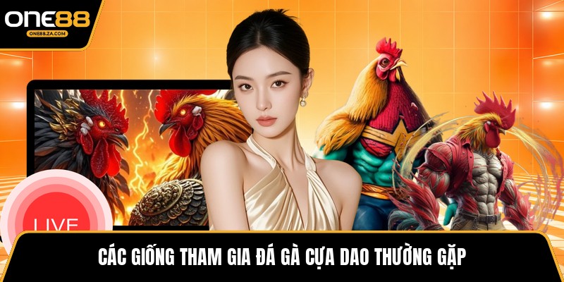 Đá Gà Cựa Dao - Đấu Trường Tốc Độ Mang Hùng Khí 2026