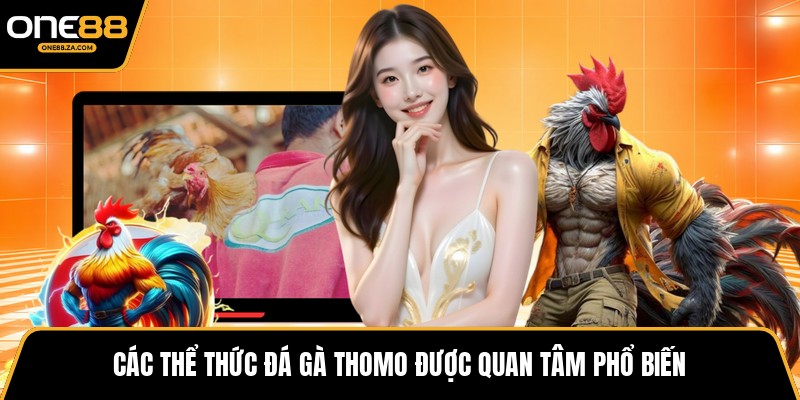 Đá Gà Thomo - Đấu Trường Kịch Tính Giữa Biên Cương