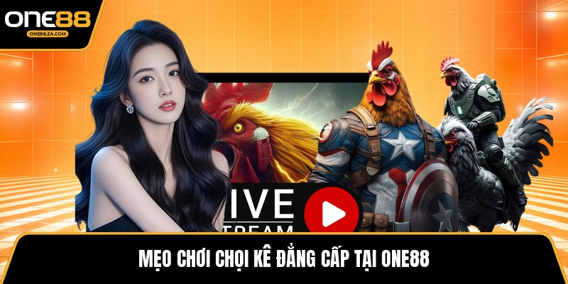 Đá Gà ONE88 - Đấu Trường Chiến Kê Bùng Nổ Kịch Tính