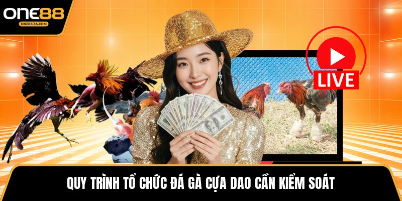 Đá Gà Cựa Dao - Đấu Trường Tốc Độ Mang Hùng Khí 2026