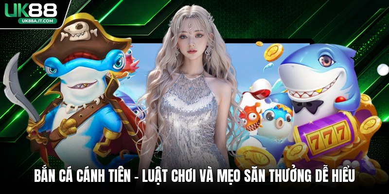 Cá Cược Bida VN88 Có Gì Hot? Luật Chơi Dành Cho Người Mới