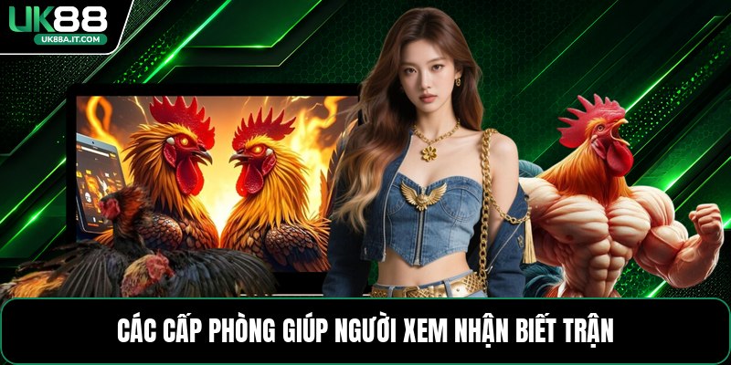 Đá Gà C2 C3 C4 - Cách Xem Và Phân Biệt Từng Cấp Trận