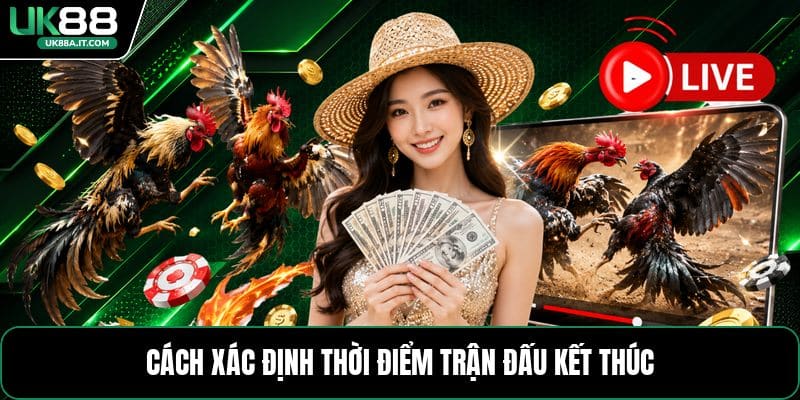 Đá Gà Cựa Sắt - Luật Chơi Và Mẹo Theo Dõi Hiệu Quả