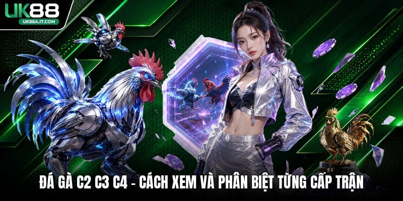 Cá Cược Bida VN88 Có Gì Hot? Luật Chơi Dành Cho Người Mới