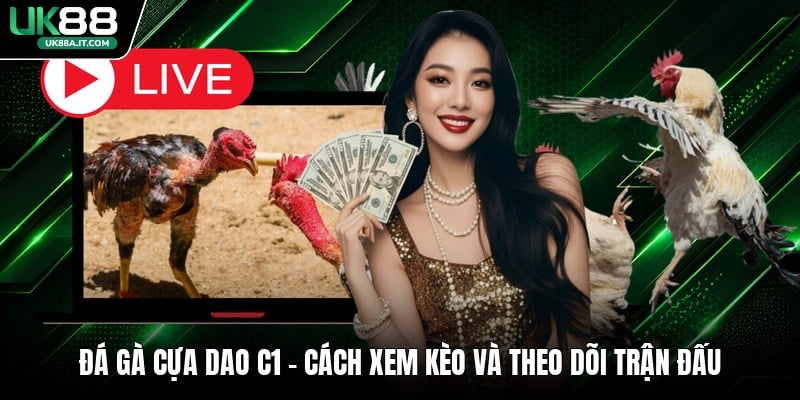 Cá Cược Bida VN88 Có Gì Hot? Luật Chơi Dành Cho Người Mới
