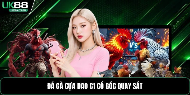 Đá Gà Cựa Dao C1 - Cách Xem Kèo Và Theo Dõi Trận Đấu