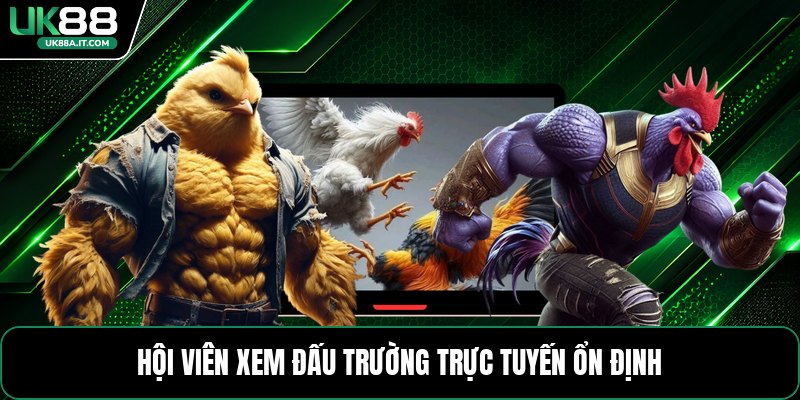 Đá Gà Cựa Dao C1 - Cách Xem Kèo Và Theo Dõi Trận Đấu