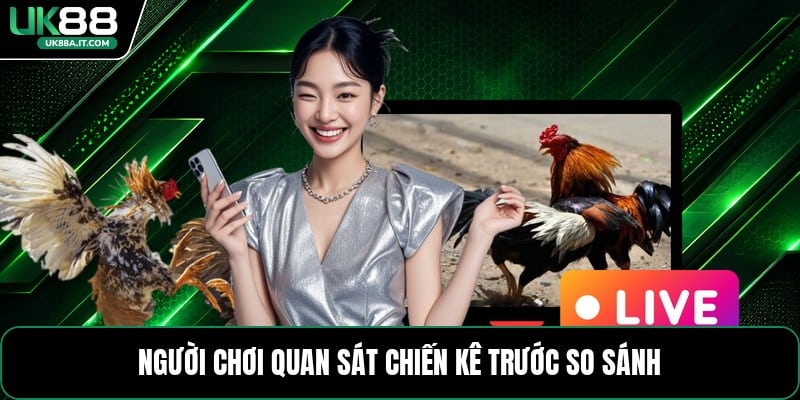 Đá Gà C2 C3 C4 - Cách Xem Và Phân Biệt Từng Cấp Trận