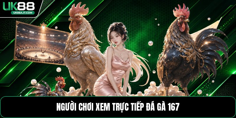 Trực Tiếp Đá Gà 167 - Thông Tin Các Trận Đấu Hôm Nay