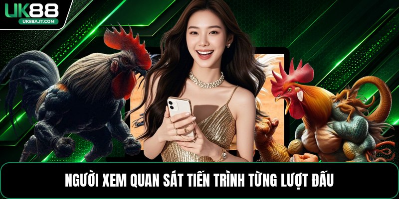 Trực Tiếp Đá Gà 167 - Thông Tin Các Trận Đấu Hôm Nay