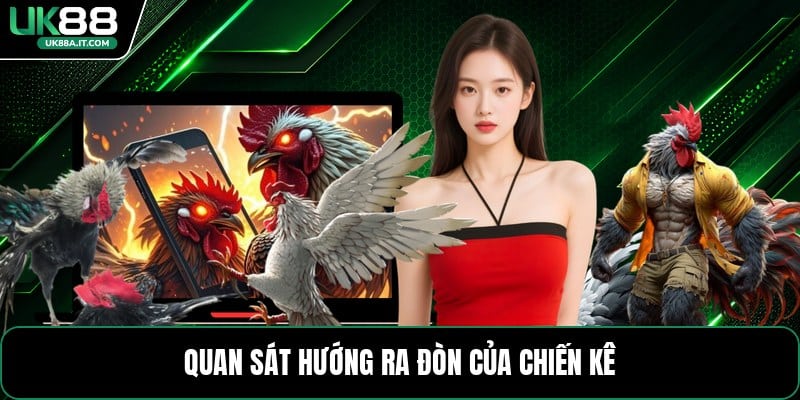 Đá Gà Cựa Sắt - Luật Chơi Và Mẹo Theo Dõi Hiệu Quả