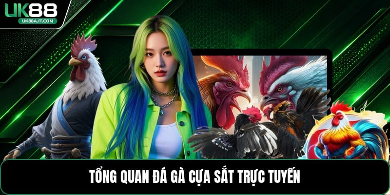 Đá Gà Cựa Sắt - Luật Chơi Và Mẹo Theo Dõi Hiệu Quả