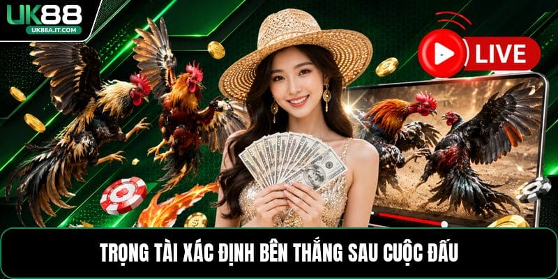 Đá Gà Dao Philippines - Tổng Quan Luật Và Cách Chơi